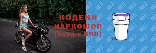 гашик Няндома