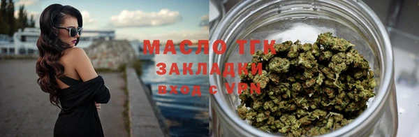 гашик Няндома