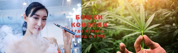 a pvp Новодвинск