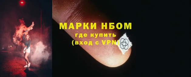 СК Новокубанск